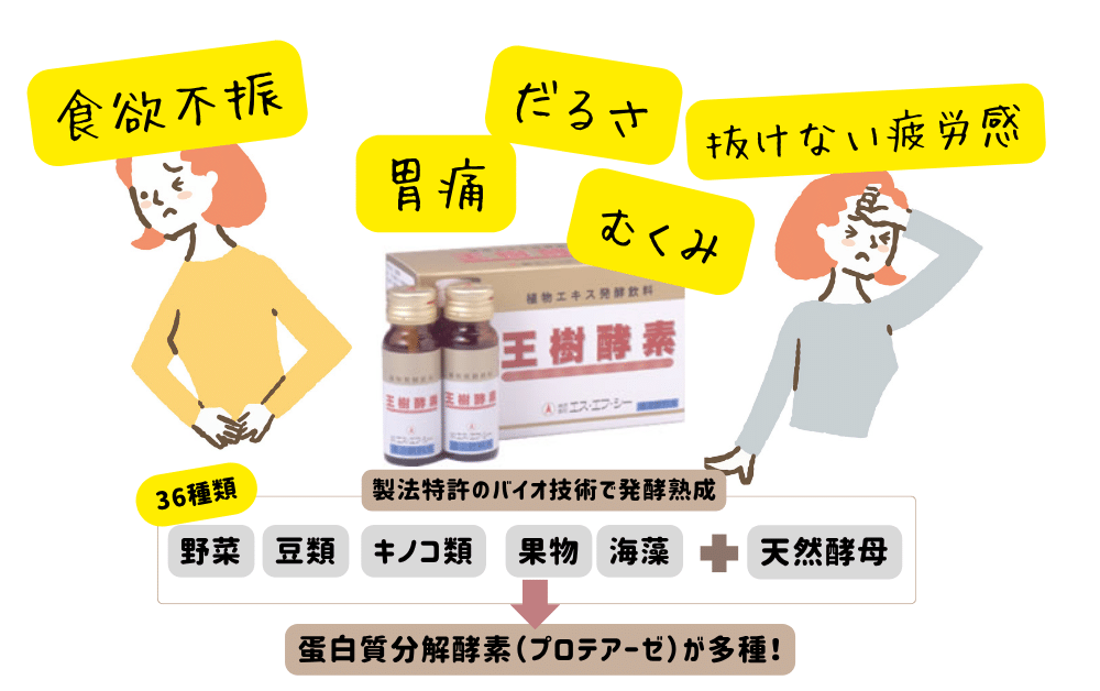 王樹酵素はプロテアーゼといわれる蛋白質分解酵素を多種含むことが特徴です