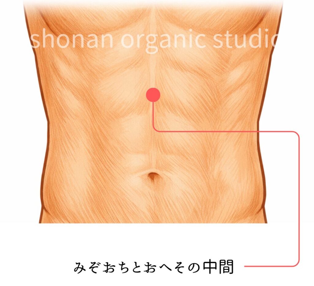 中脘（ちゅうかん）