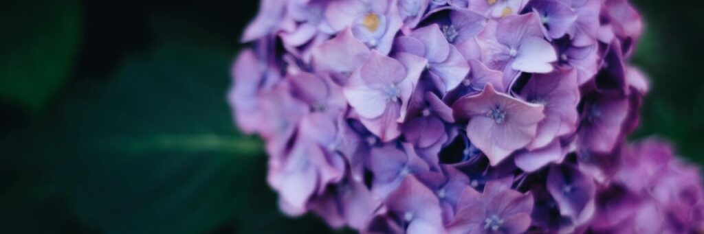 梅雨・湿気対策